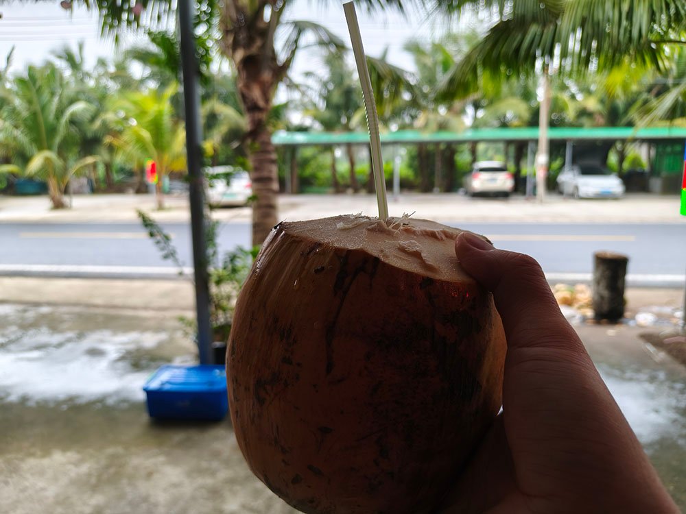东郊椰林